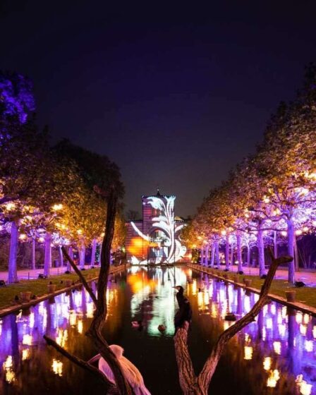 le-piu-belle-luminarie-di-natale-del-lazio:-dove-trovarle