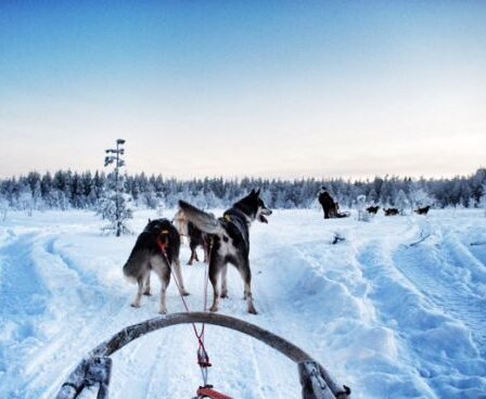 cosa-fare-in-lapponia-finlandese-in-inverno:-itinerario-di-viaggio