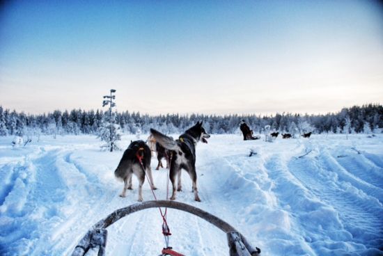 cosa-fare-in-lapponia-finlandese-in-inverno:-itinerario-di-viaggio